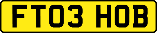 FT03HOB