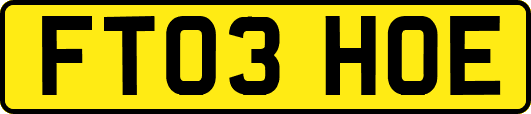 FT03HOE
