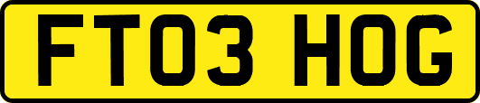 FT03HOG