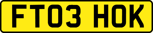 FT03HOK