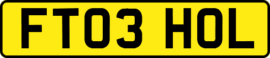 FT03HOL