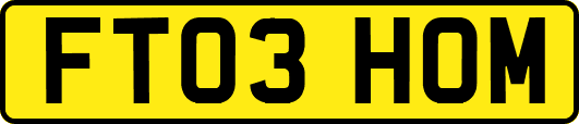 FT03HOM