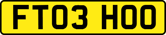 FT03HOO