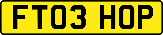 FT03HOP