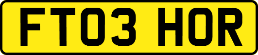FT03HOR