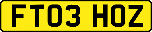 FT03HOZ