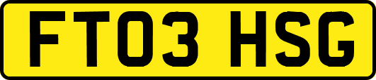 FT03HSG
