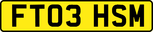 FT03HSM