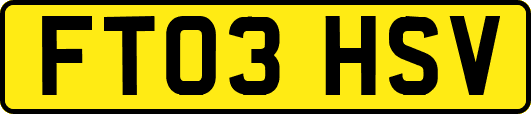 FT03HSV