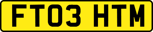 FT03HTM