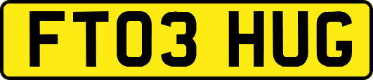 FT03HUG