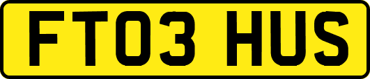 FT03HUS