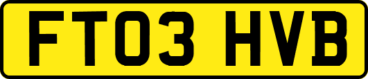 FT03HVB