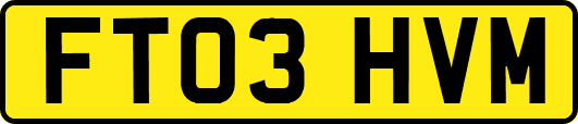 FT03HVM