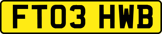 FT03HWB