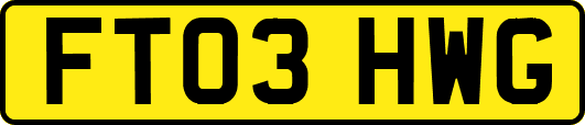 FT03HWG