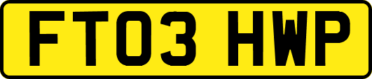 FT03HWP