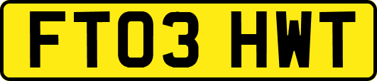 FT03HWT