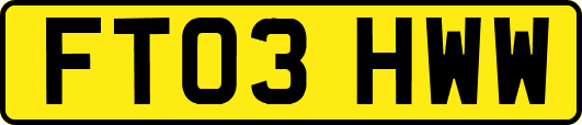 FT03HWW