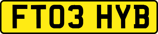 FT03HYB
