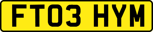 FT03HYM