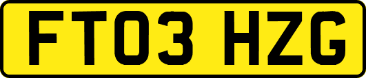 FT03HZG