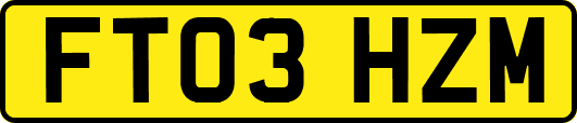 FT03HZM