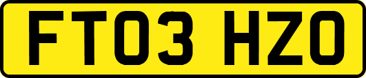 FT03HZO