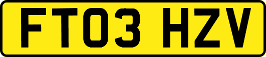 FT03HZV
