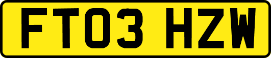 FT03HZW