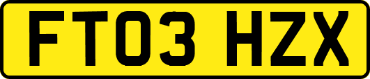 FT03HZX