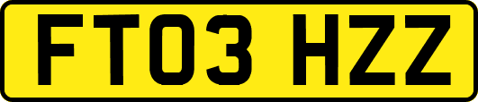 FT03HZZ