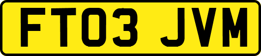 FT03JVM