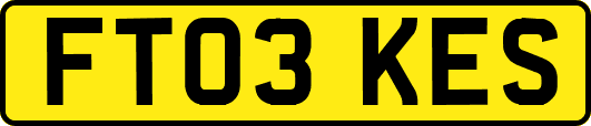 FT03KES