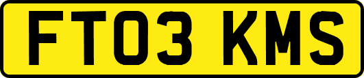 FT03KMS