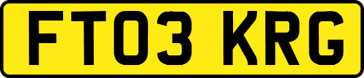 FT03KRG
