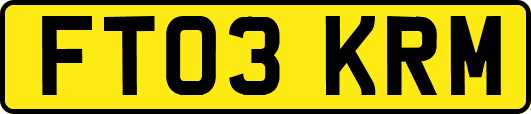 FT03KRM