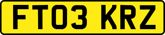 FT03KRZ