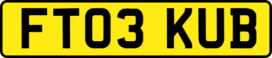 FT03KUB