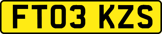 FT03KZS