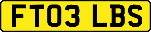 FT03LBS