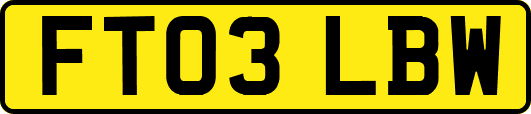 FT03LBW
