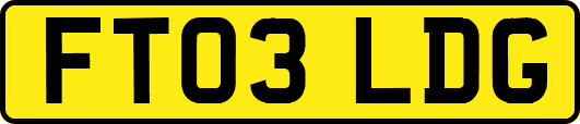 FT03LDG