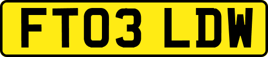 FT03LDW
