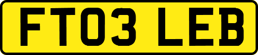 FT03LEB