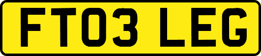 FT03LEG