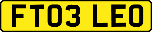 FT03LEO
