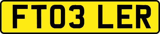 FT03LER