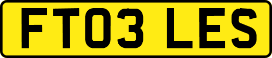 FT03LES