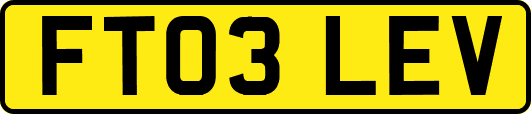 FT03LEV